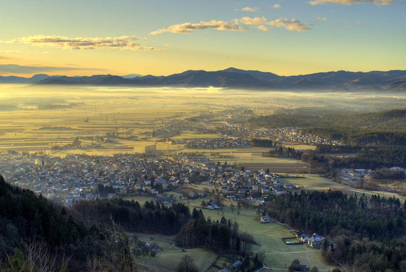 Most Viewed Wikipedia Images of 2012