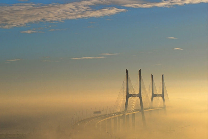 Most Viewed Wikipedia Images of 2012