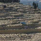 Mountain of the Lost