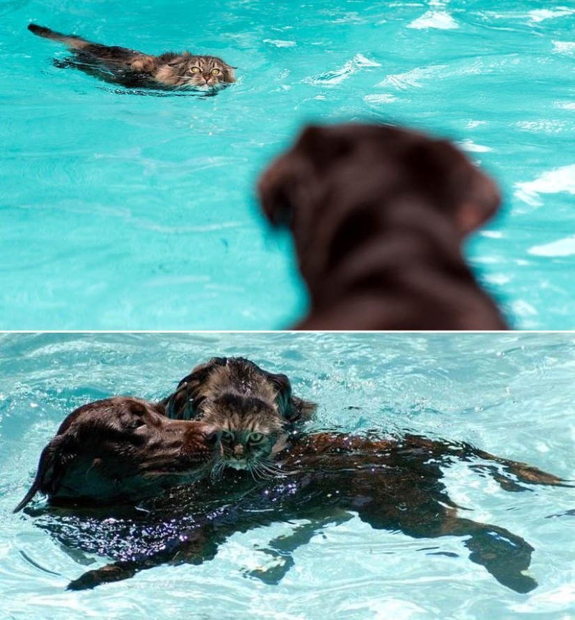 Más que foto Más que foto