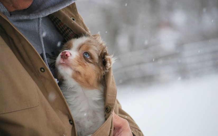 Más que foto Más que foto