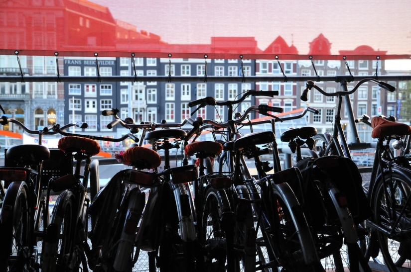 Ámsterdam en números y fotos