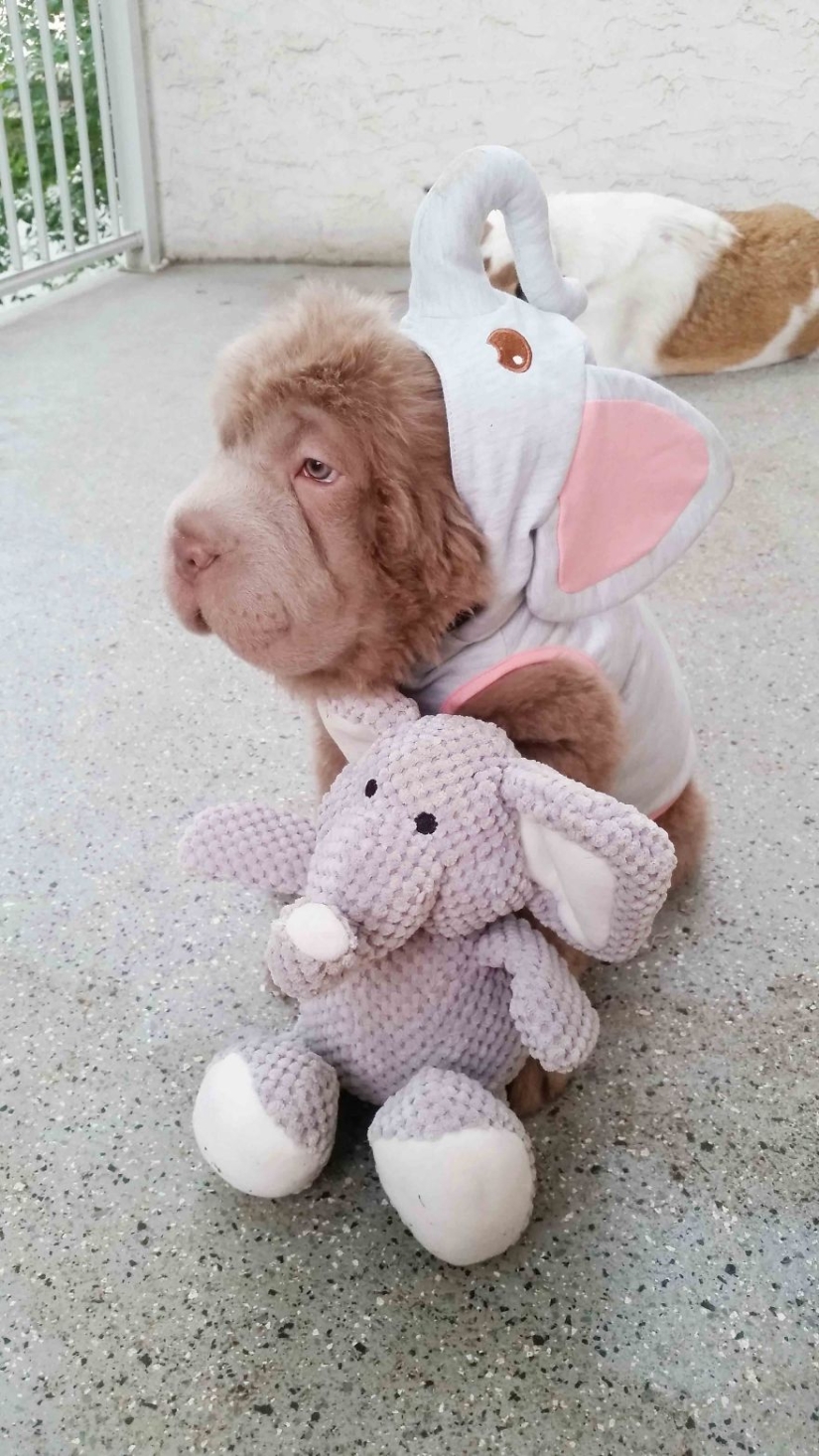 My dog has more friends than me!