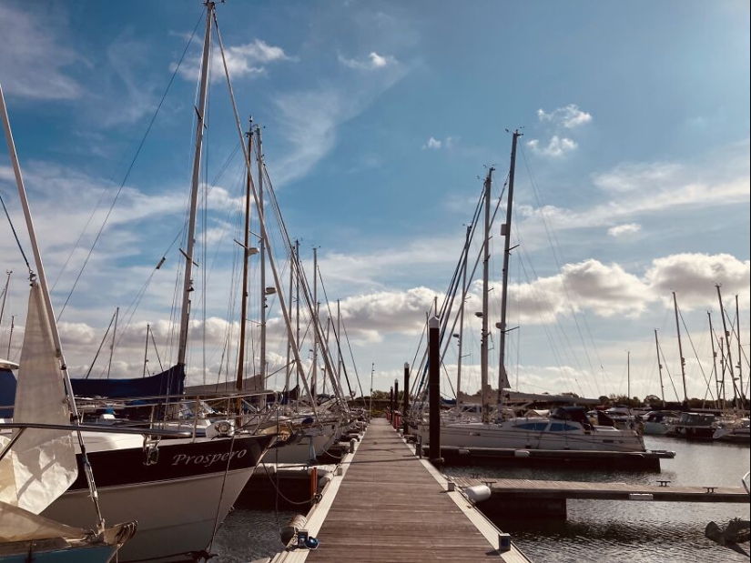 My Phone Photography Tips