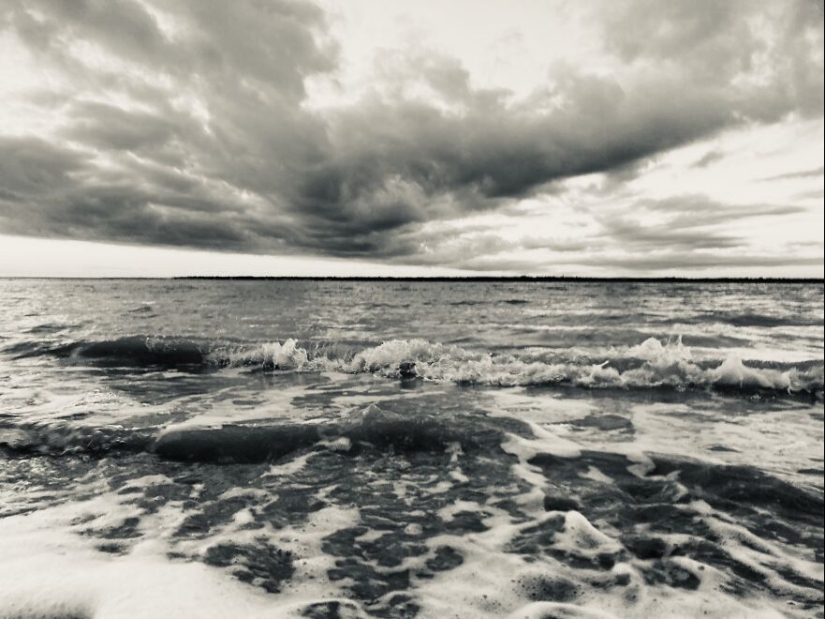 My Phone Photography Tips