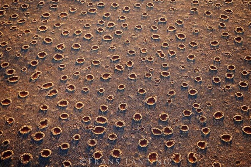 Mysterious circles in Namibia