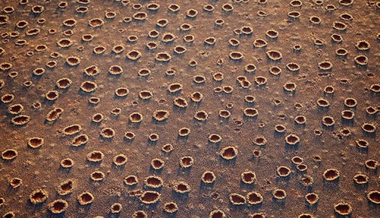 Mysterious circles in Namibia