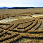 Mysterious crop circles in Wiltshire