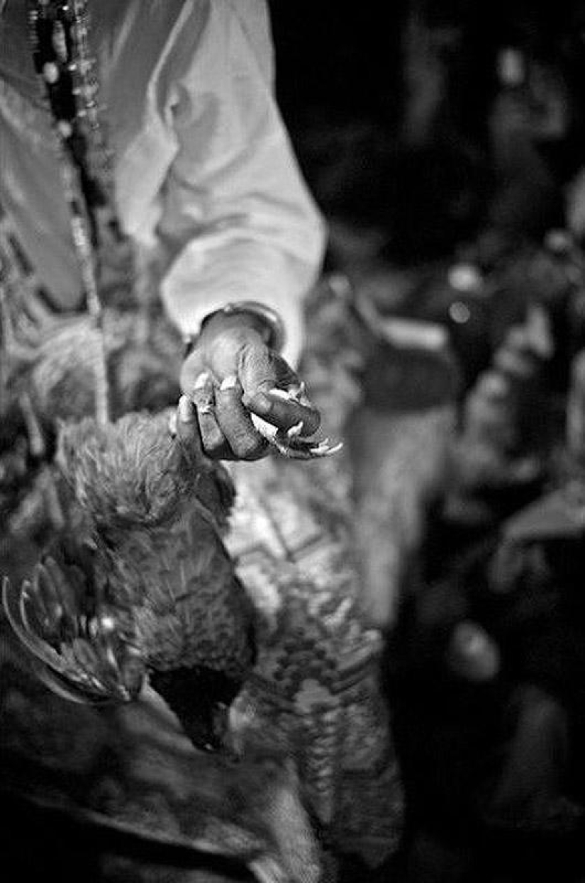 Mystery of voodoo
