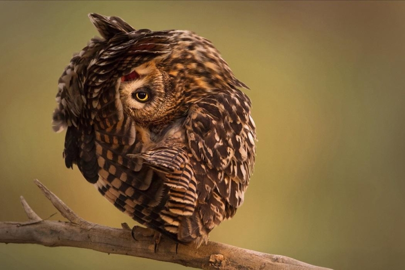 National Geographic Traveler Photo Contest — 2014