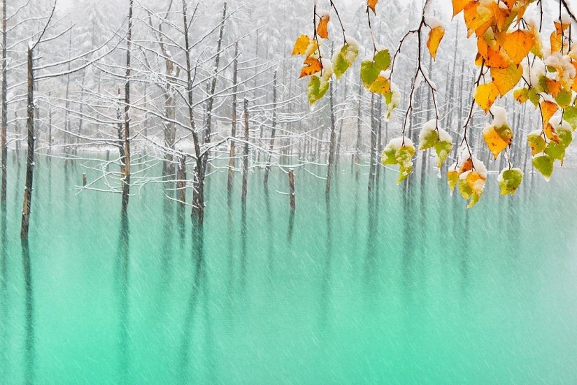 National Geographic Traveler Photo Contest — 2014