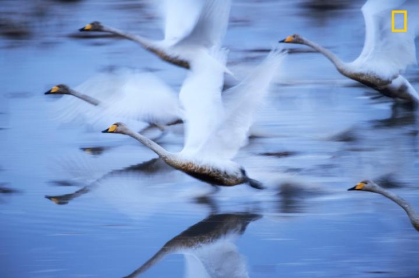 National Geographic Traveler Photo Contest — 2014