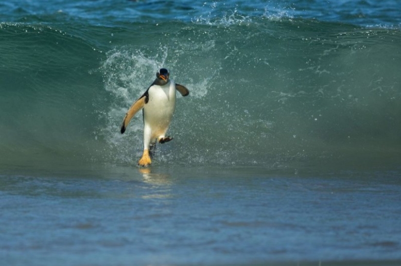 National Geographic's Best Shots of the Year National Geographic's Best Shots of the Year