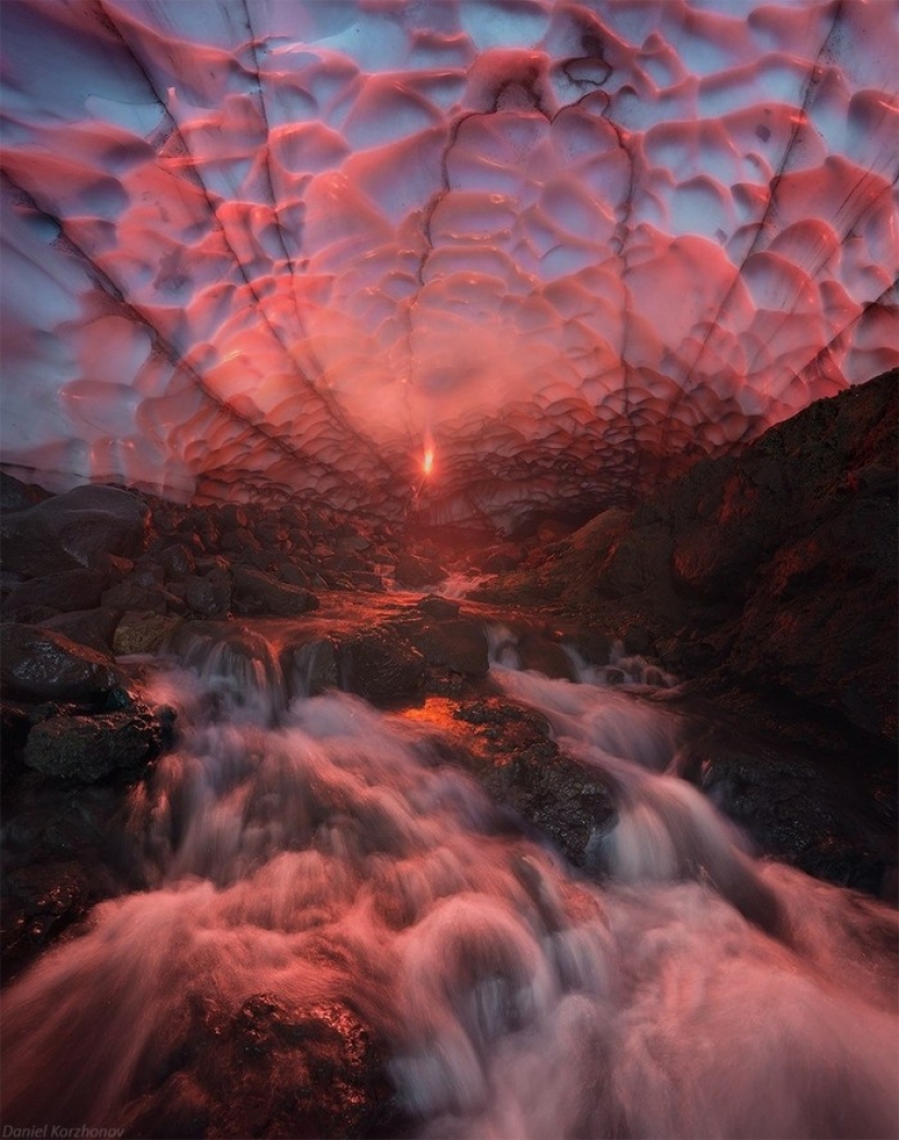 National Geographic's Best Shots of the Year National Geographic's Best Shots of the Year