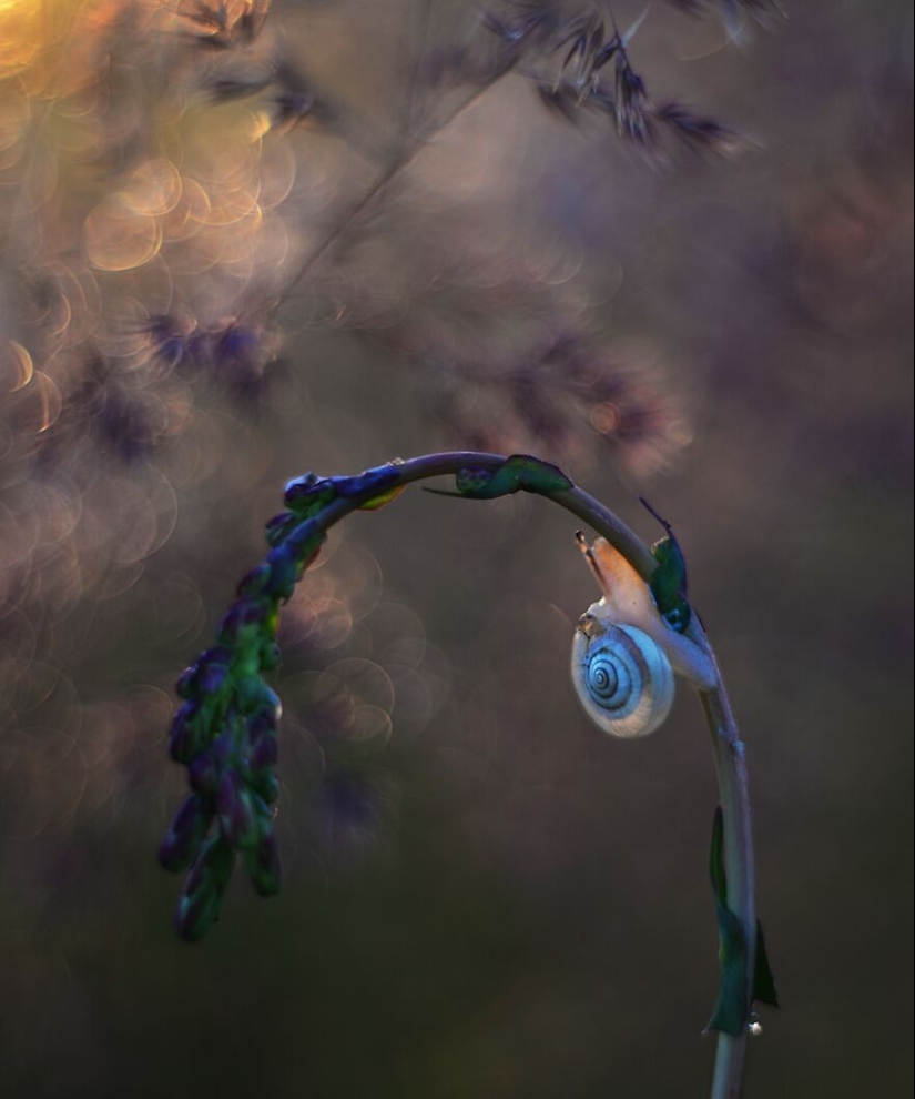 Naturaleza en primavera, verano y otoño: mis 20 fotos mías