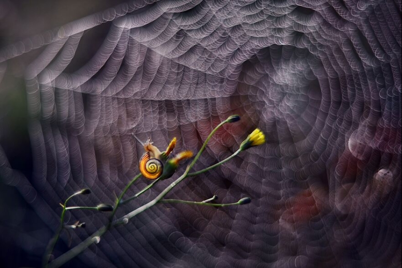 Naturaleza en primavera, verano y otoño: mis 20 fotos mías