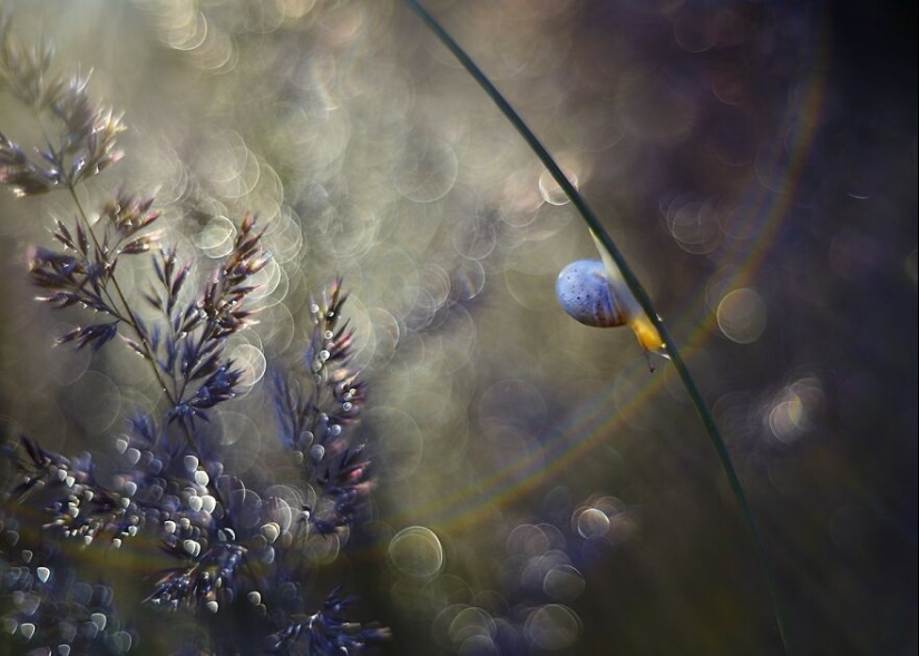 Naturaleza en primavera, verano y otoño: mis 20 fotos mías