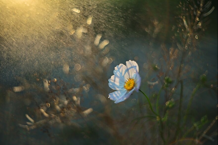 Naturaleza en primavera, verano y otoño: mis 20 fotos mías