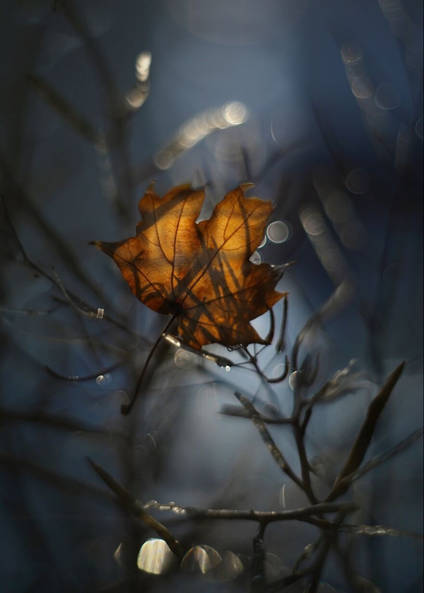 Nature In Spring, Summer, And Autumn: My 20 Photos By Me