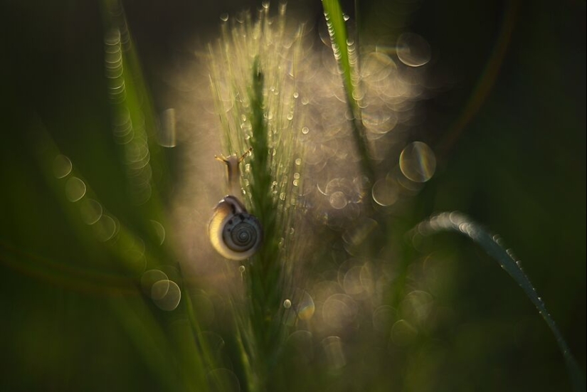 Nature In Spring, Summer, And Autumn: My 20 Photos By Me