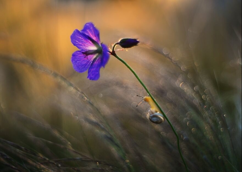 Nature In Spring, Summer, And Autumn: My 20 Photos By Me