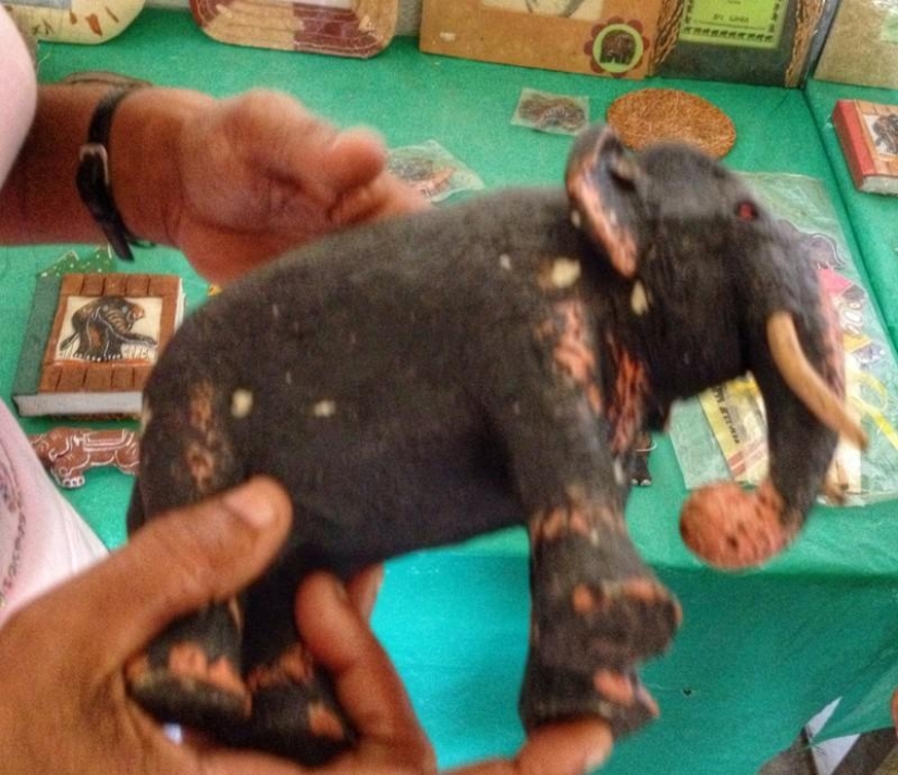 negocio de caca