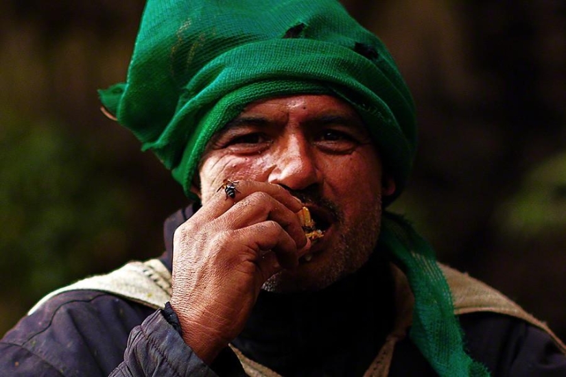 Nepalese honey hunters Nepalese honey hunters