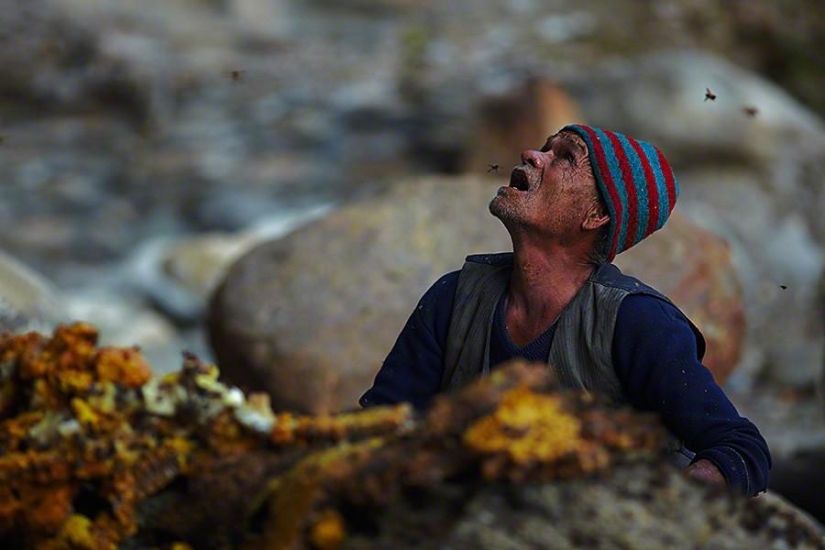 Nepalese honey hunters Nepalese honey hunters