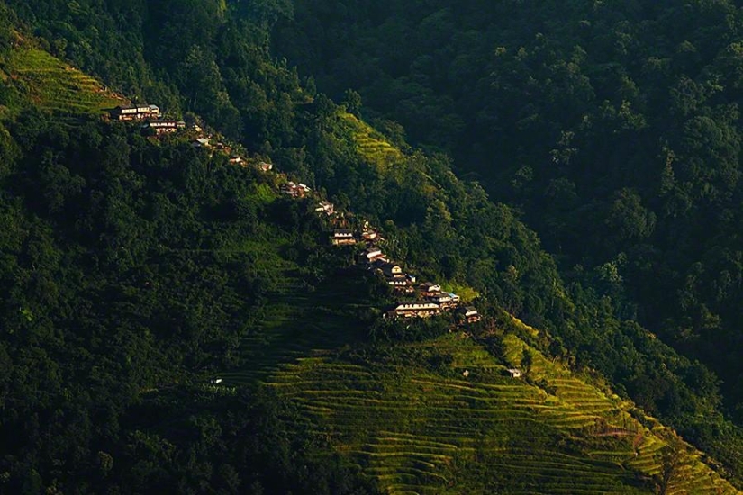 Nepalese honey hunters Nepalese honey hunters