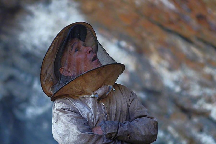 Nepalese honey hunters Nepalese honey hunters