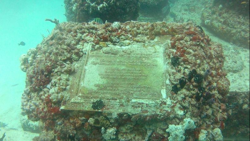 Neptune Memorial: un cementerio submarino frente a la costa de Florida