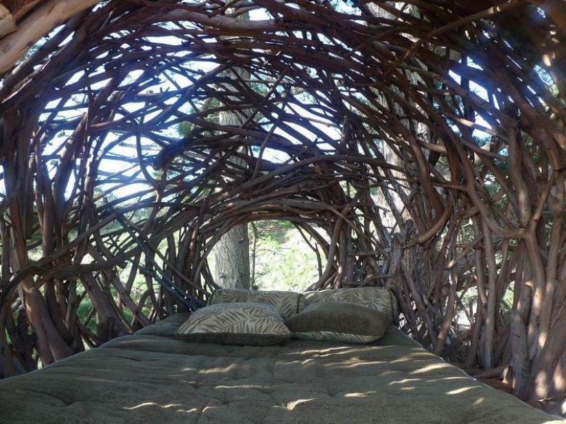 Nests for people