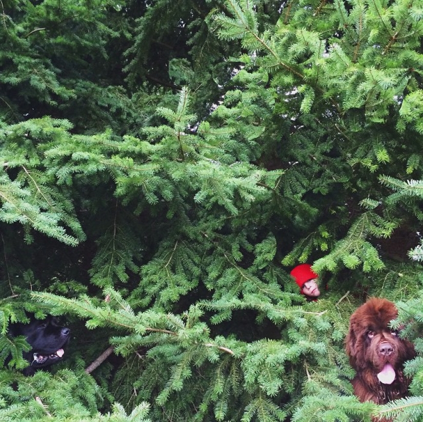 New Bremen Town Musicians New Bremen Town Musicians