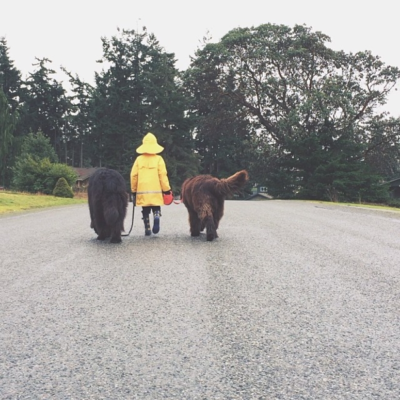 New Bremen Town Musicians New Bremen Town Musicians