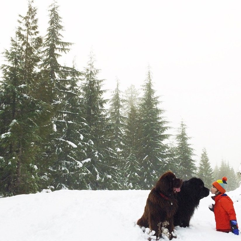 New Bremen Town Musicians New Bremen Town Musicians