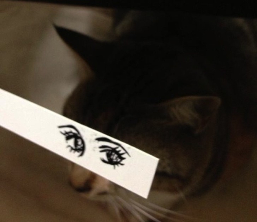 New kotofototrend: try on fluffy new painted eyes