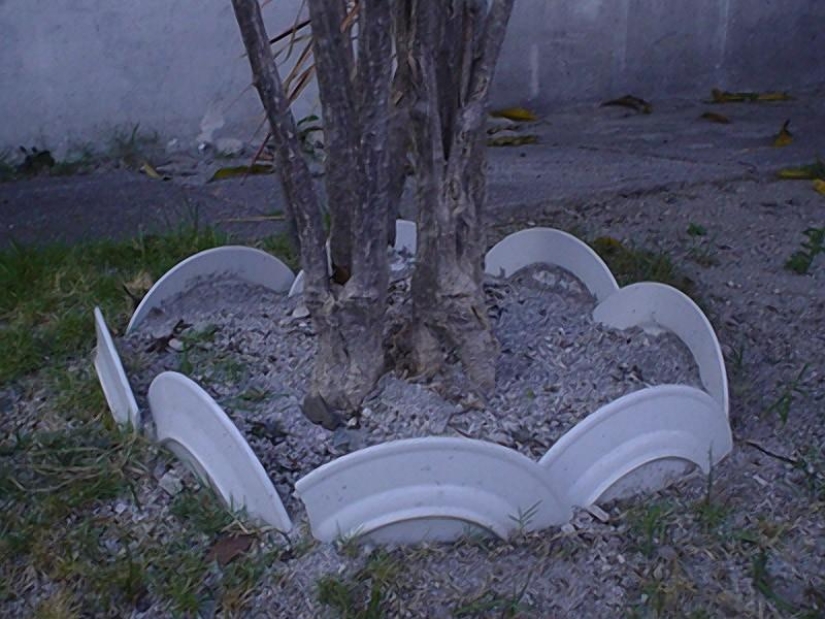 New life for old things