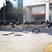 New Photo-Mam: Super-Energy Attack of Japanese Schoolgirls New Photo-Mam: Super-Energy Attack of Japanese Schoolgirls