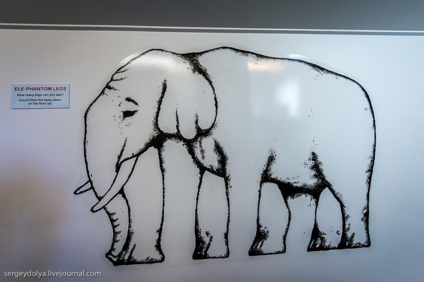 New Zealand. Puzzling World New Zealand. Puzzling World