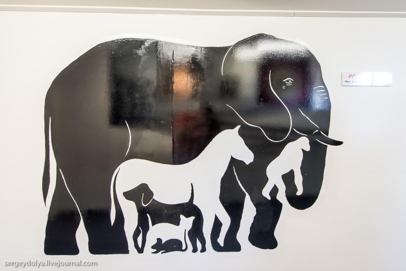 New Zealand. Puzzling World New Zealand. Puzzling World