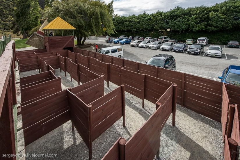 New Zealand. Puzzling World New Zealand. Puzzling World