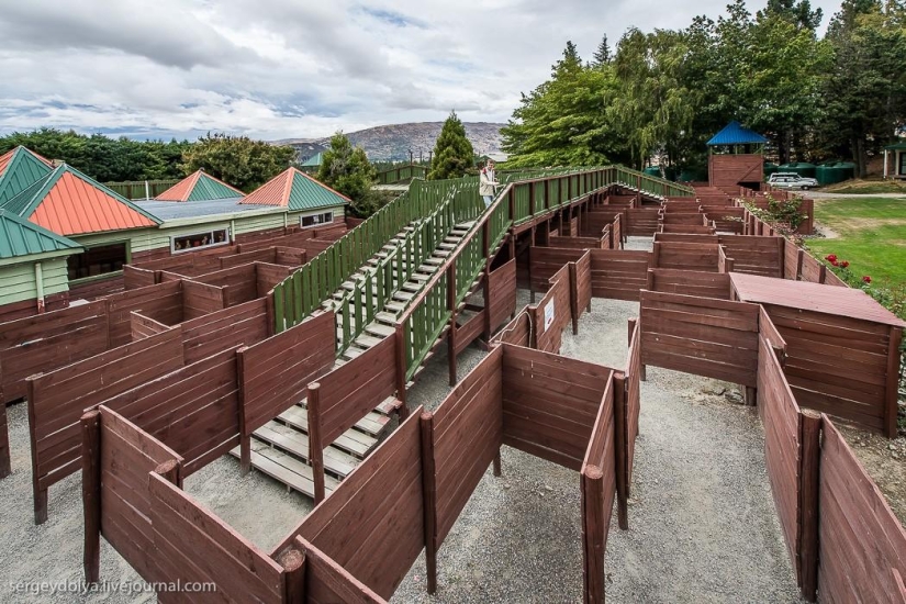 New Zealand. Puzzling World New Zealand. Puzzling World