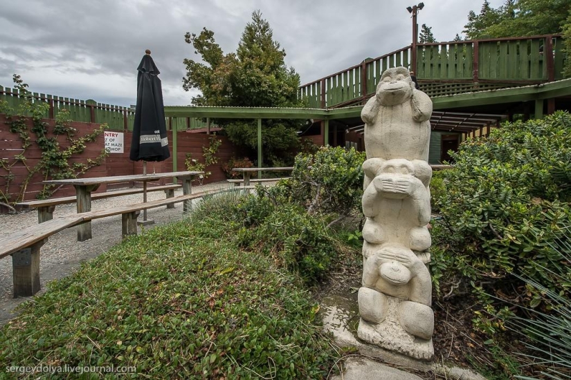 New Zealand. Puzzling World New Zealand. Puzzling World