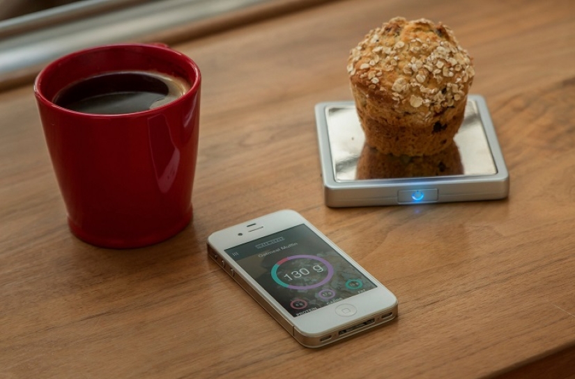 News for the ssbbw club: portable micro scales will track your diet!