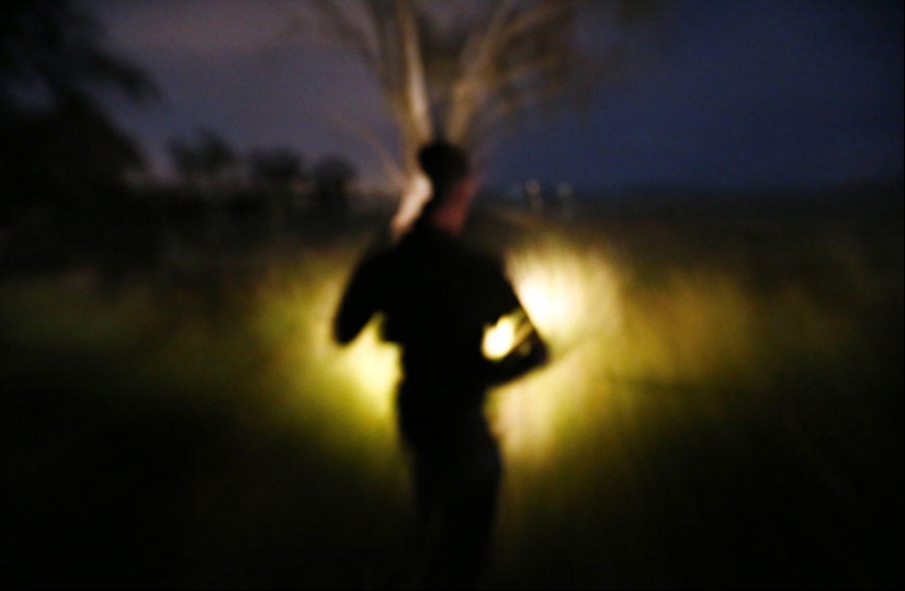 Night hunting for kangaroos in Australia Night hunting for kangaroos in Australia