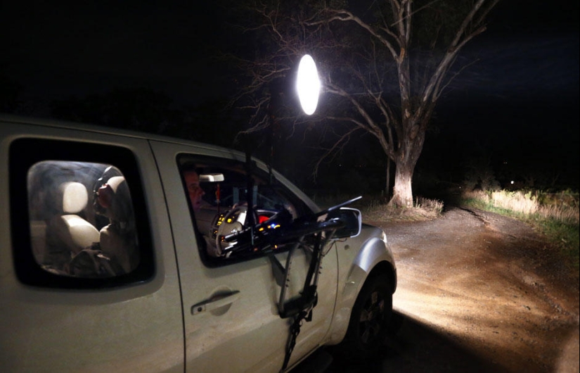 Night hunting for kangaroos in Australia Night hunting for kangaroos in Australia