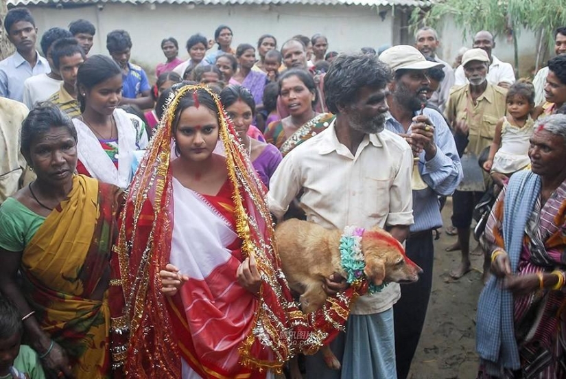 Niña india se casa con perro para romper maldición