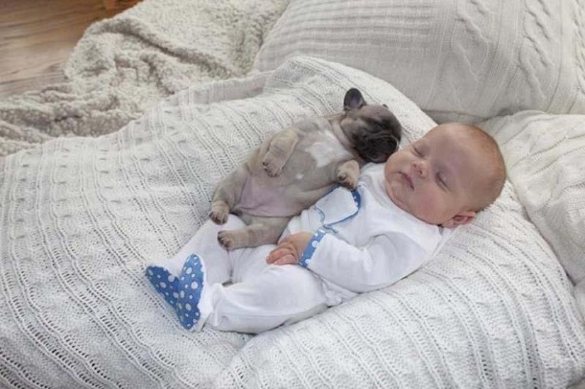 Niño y cachorros. Publicación de ternura escandalosa Niño y cachorros. Publicación de ternura escandalosa