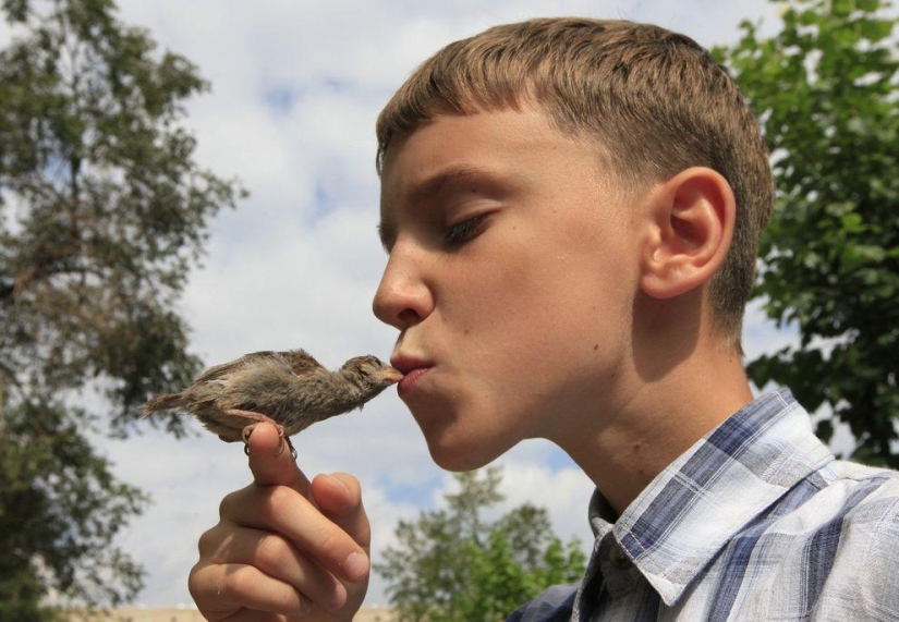niño y gorrión