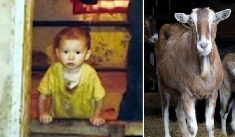 Niños cuidados por animales Niños cuidados por animales